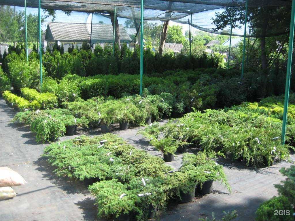 Отзывы на компанию Садовый центр Веры Глуховой в г. Самара c фото