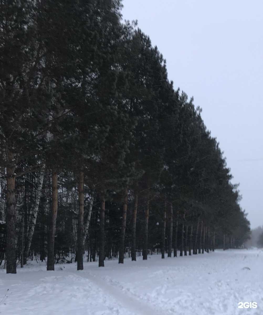 Отзывы на компанию Kraftmaster в г. Томск c фото