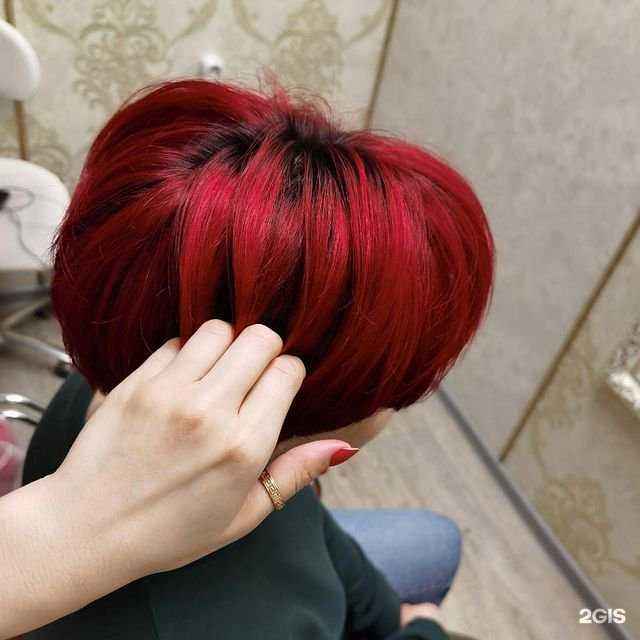 Отзывы на компанию Модель в г. Петропавловск-Камчатский c фото