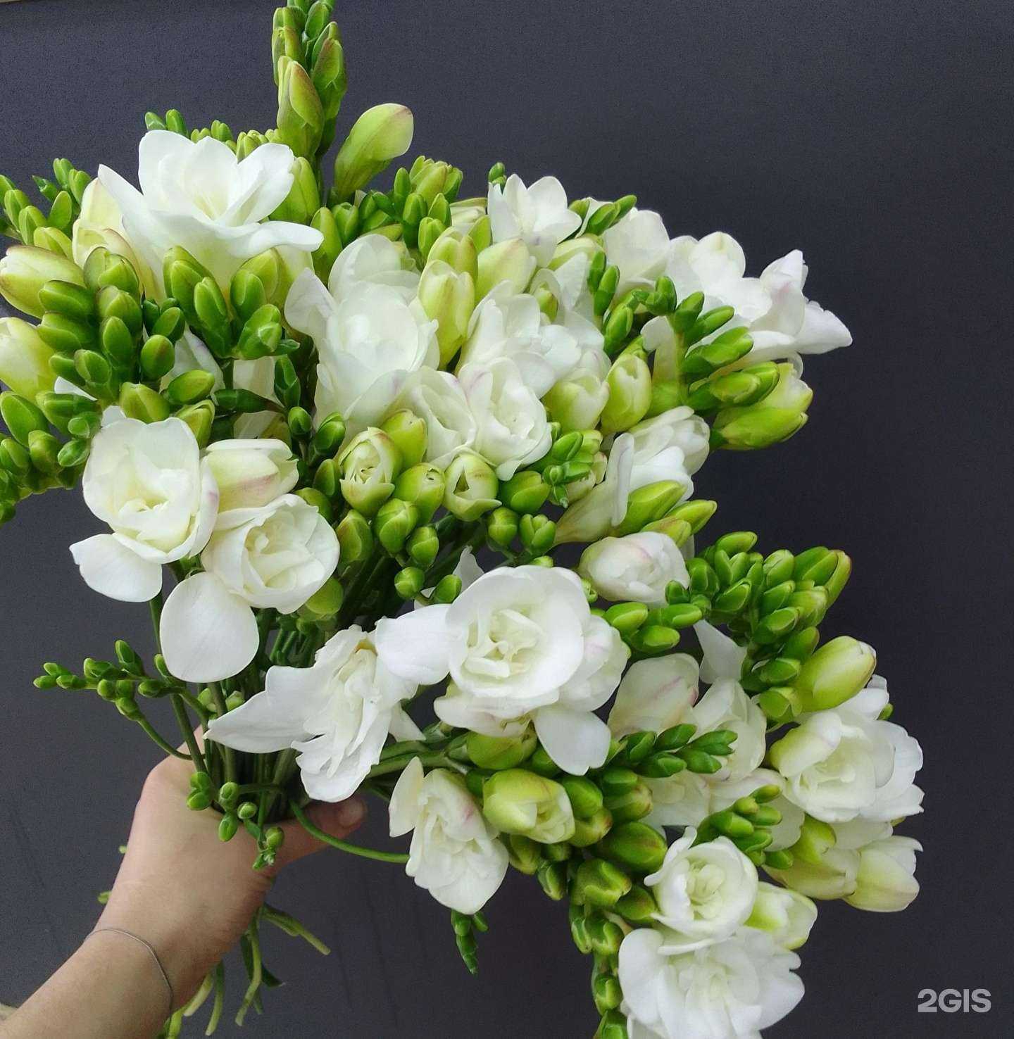 Отзывы на компанию Sentiment Flowers в г. Красногорск c фото