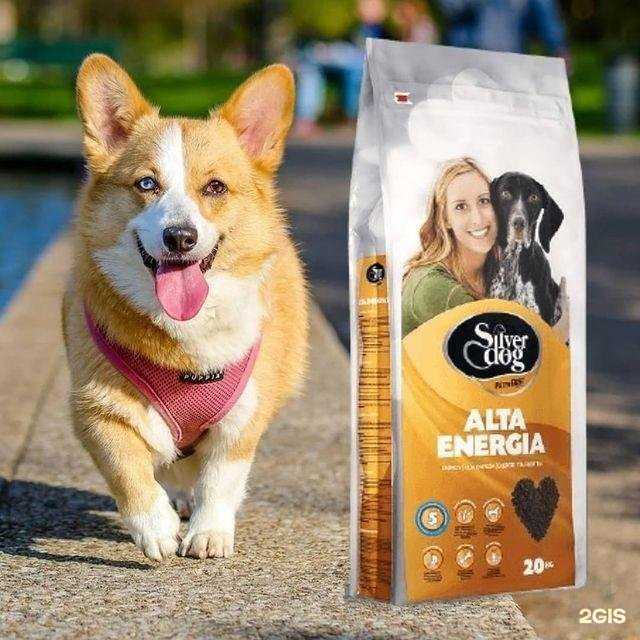 Отзывы на компанию Зоомир в Сатке c фото