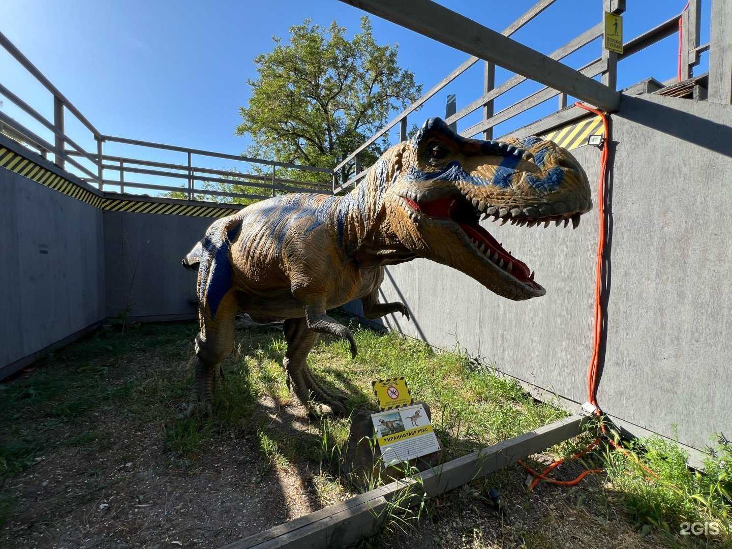 Отзывы на компанию Затерянный мир в г. Анапа c фото