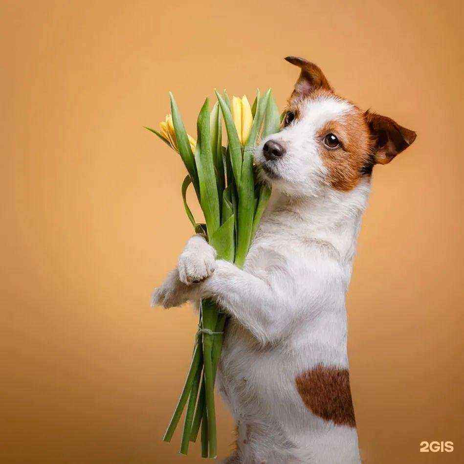 Отзывы на компанию Бетховен в Волжском c фото