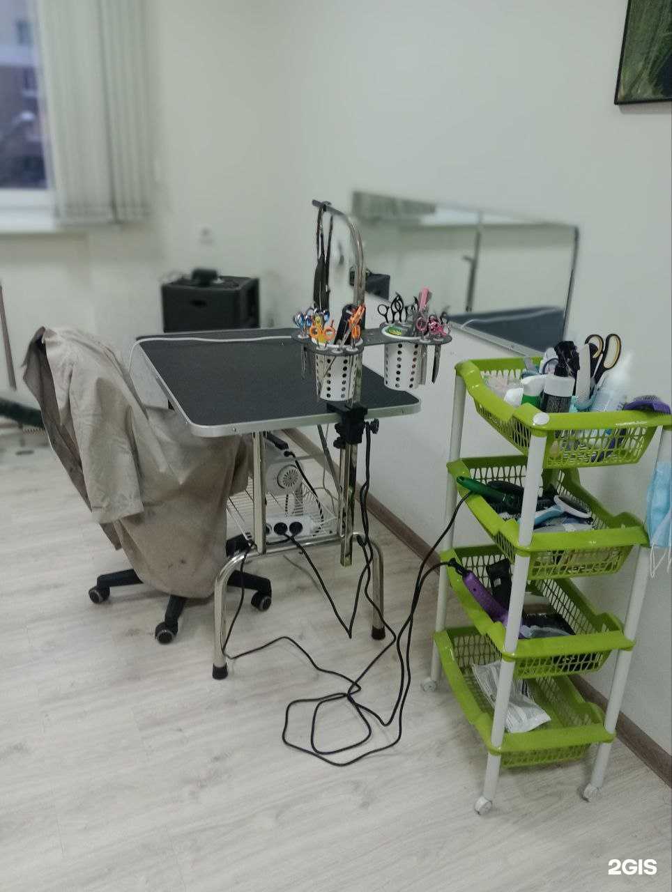 Отзывы на компанию Каштанка в г. Белгород c фото