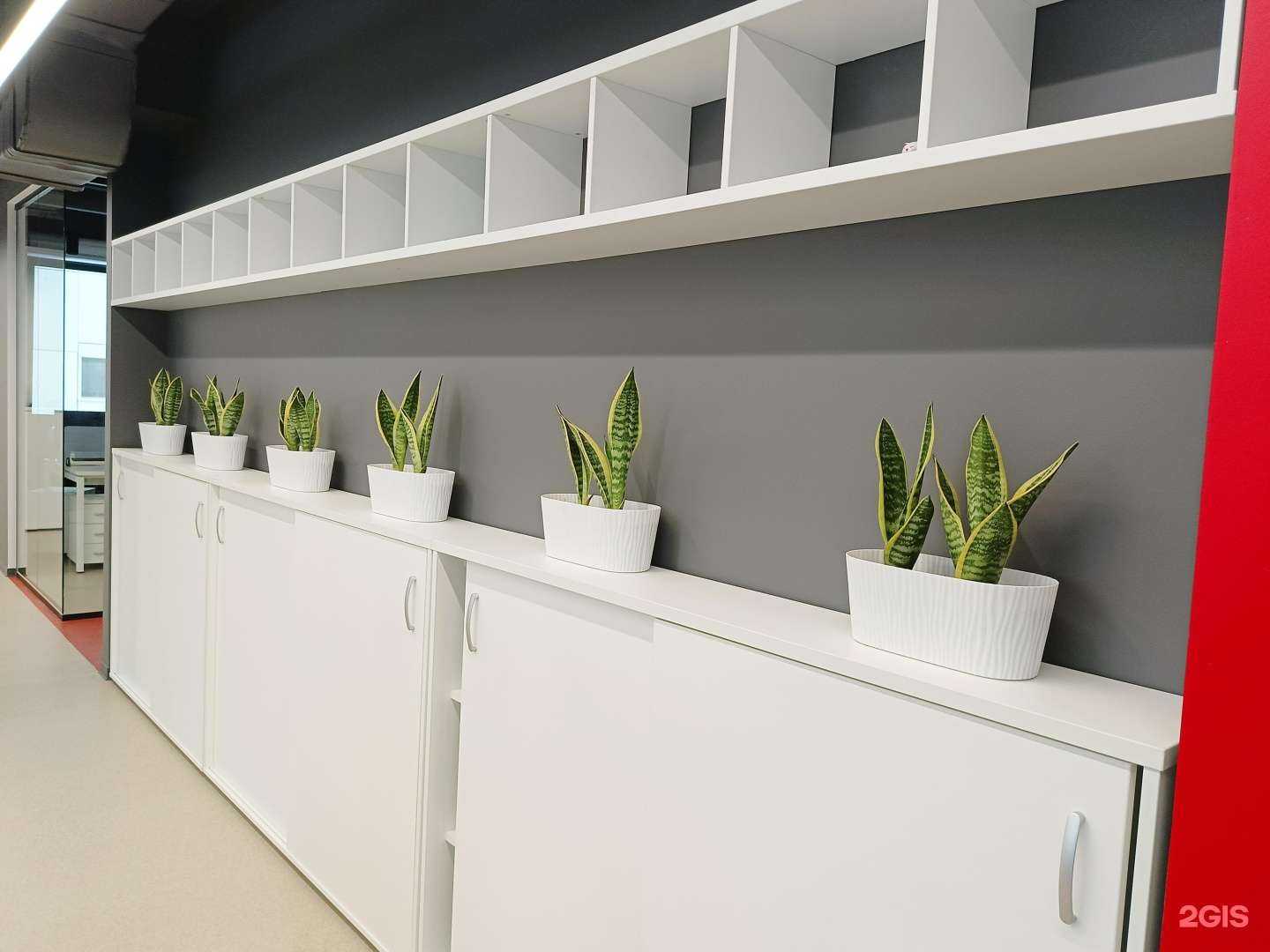 Отзывы на компанию Дом Цветов в Иркутске c фото