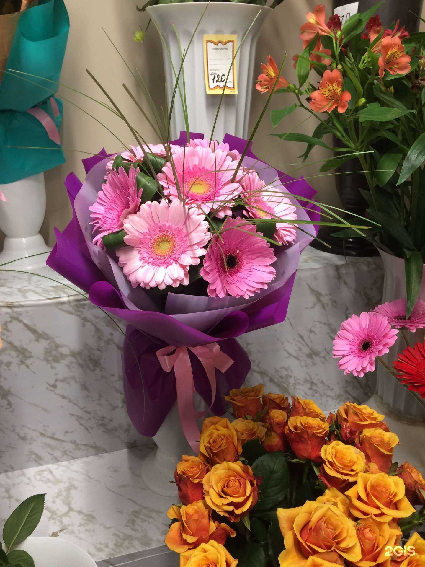 Отзывы на компанию Kolibri в г. Екатеринбург c фото