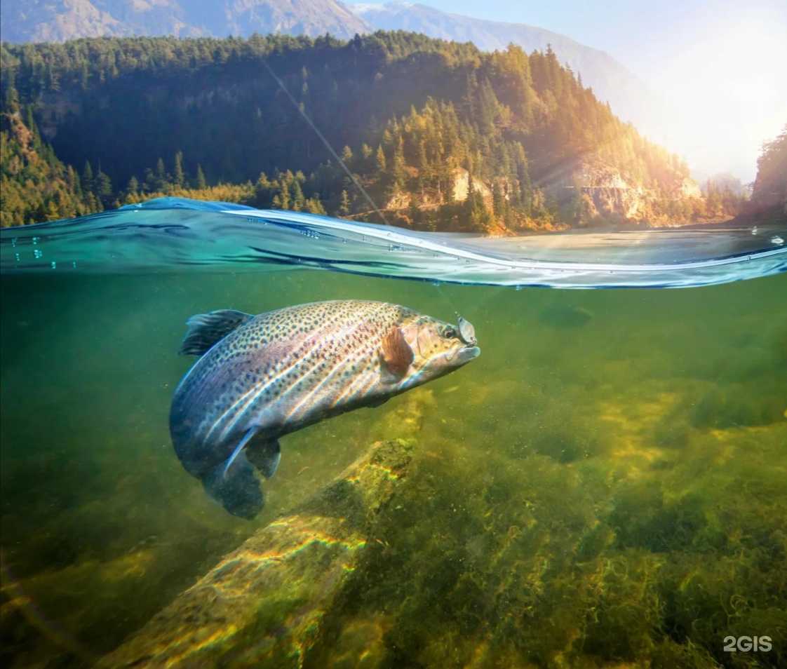 Отзывы на компанию Елисей в г. Минусинск c фото