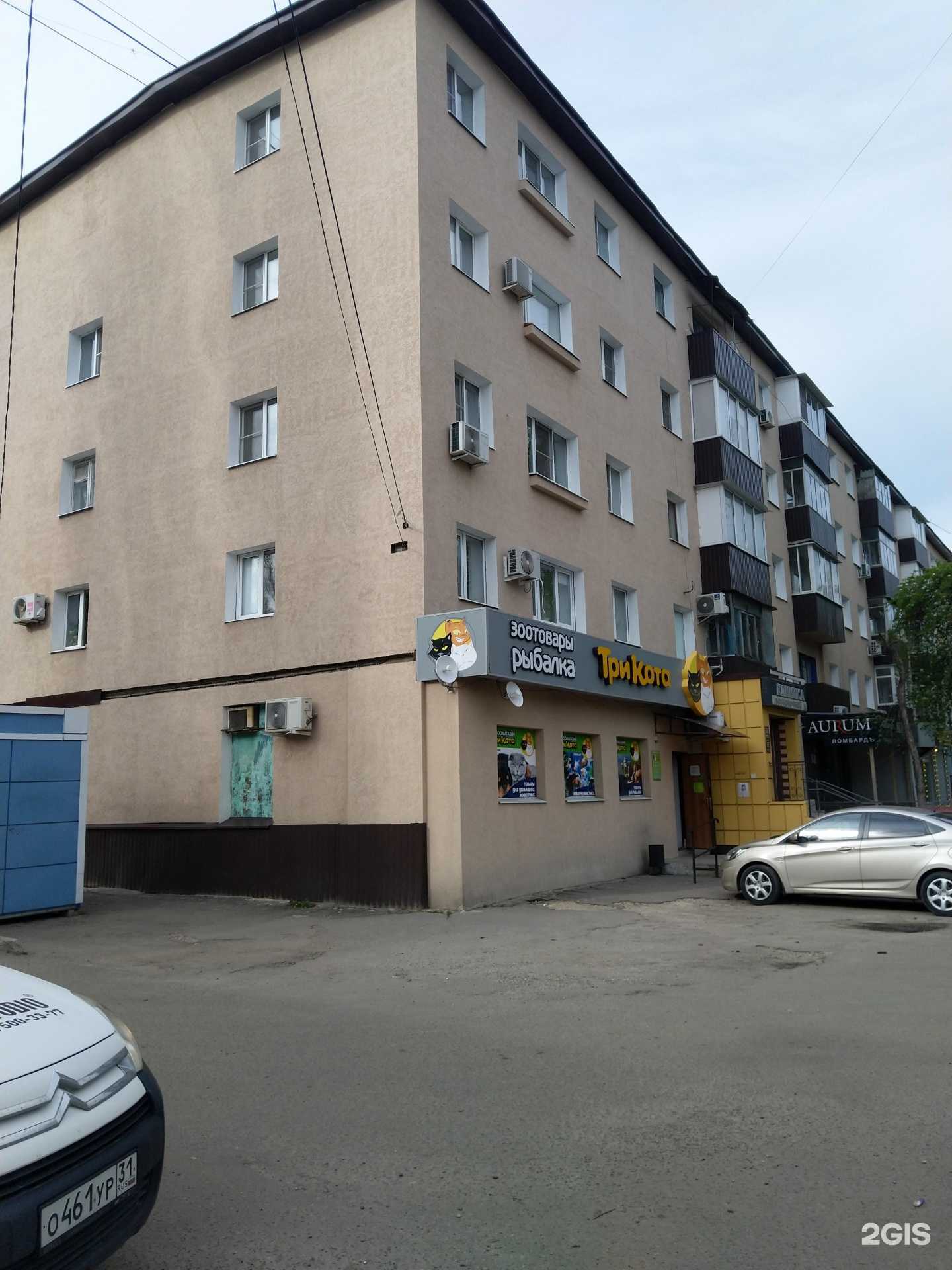 Отзывы на компанию Три кота в Воронеже c фото - фотография 2 из 2