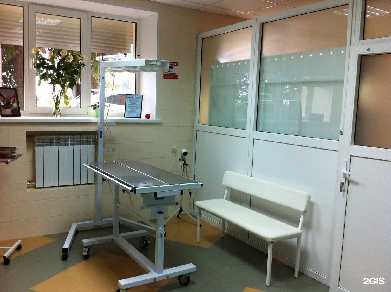 Отзывы на компанию Котопёс в Саратове c фото