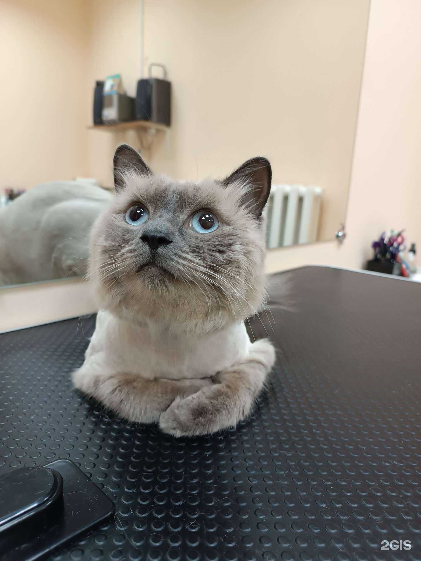 Отзывы на компанию Северное сияние в г. Хабаровск c фото