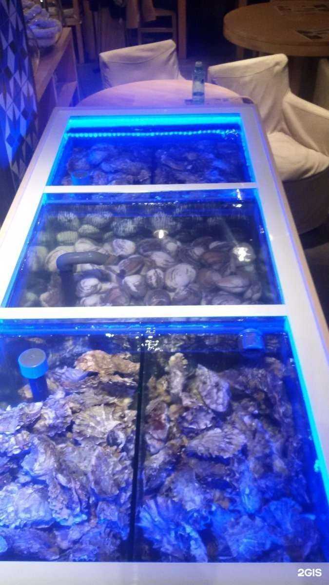 Отзывы на компанию Морской мир в Новосибирске c фото