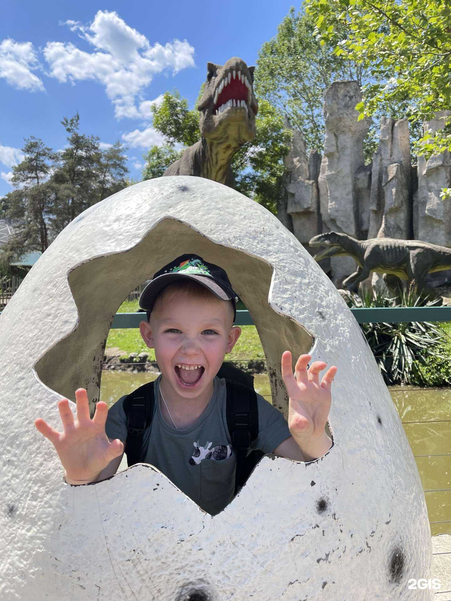 Отзывы на компанию Малыш и Карлсон в Краснодаре c фото