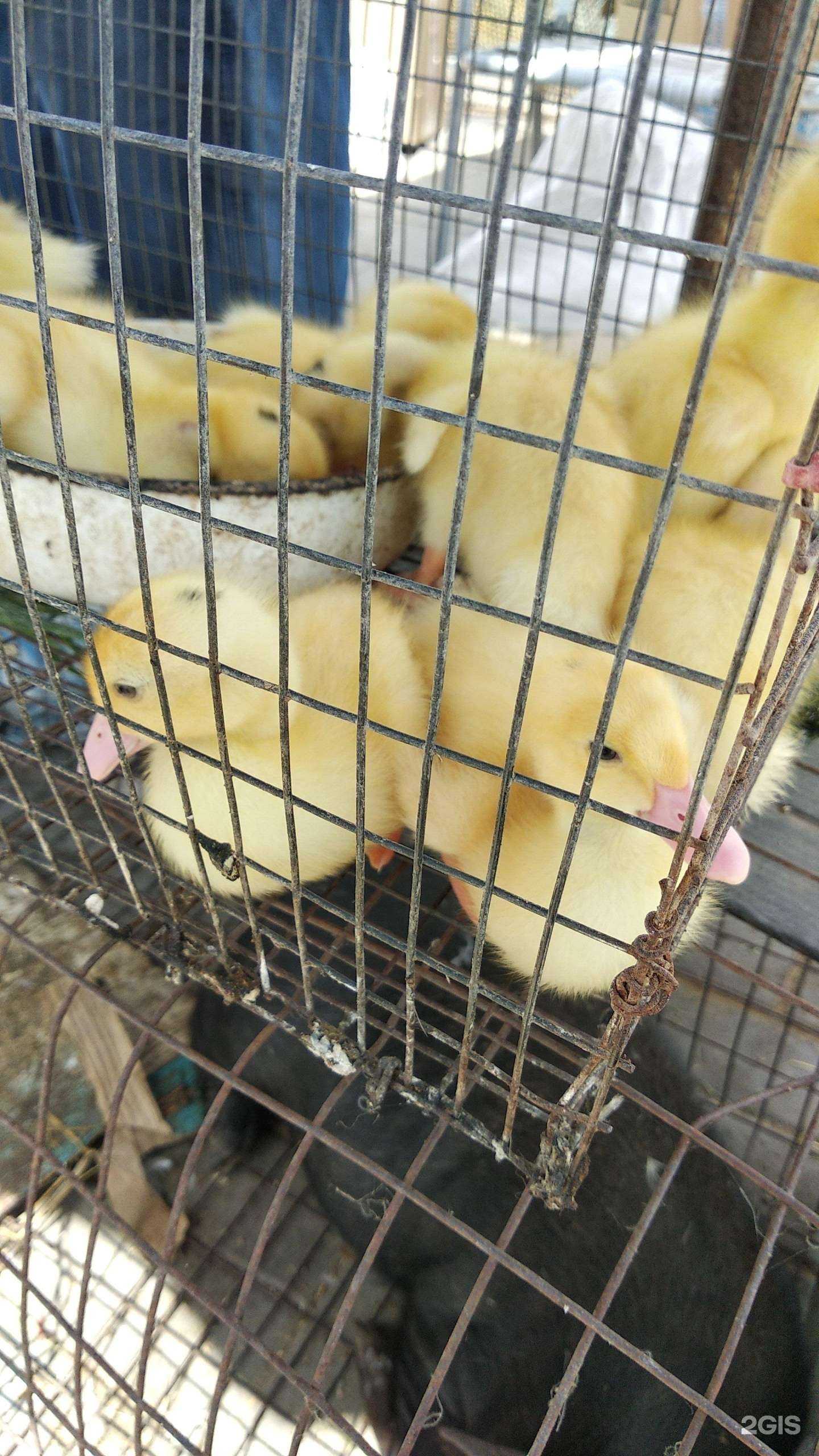 Отзывы на компанию Техстрой в Астрахани c фото - фотография 2 из 2