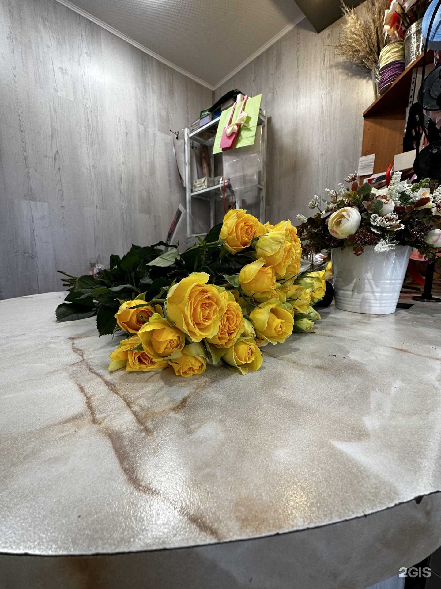 Отзывы на компанию Флора в г. Георгиевск c фото