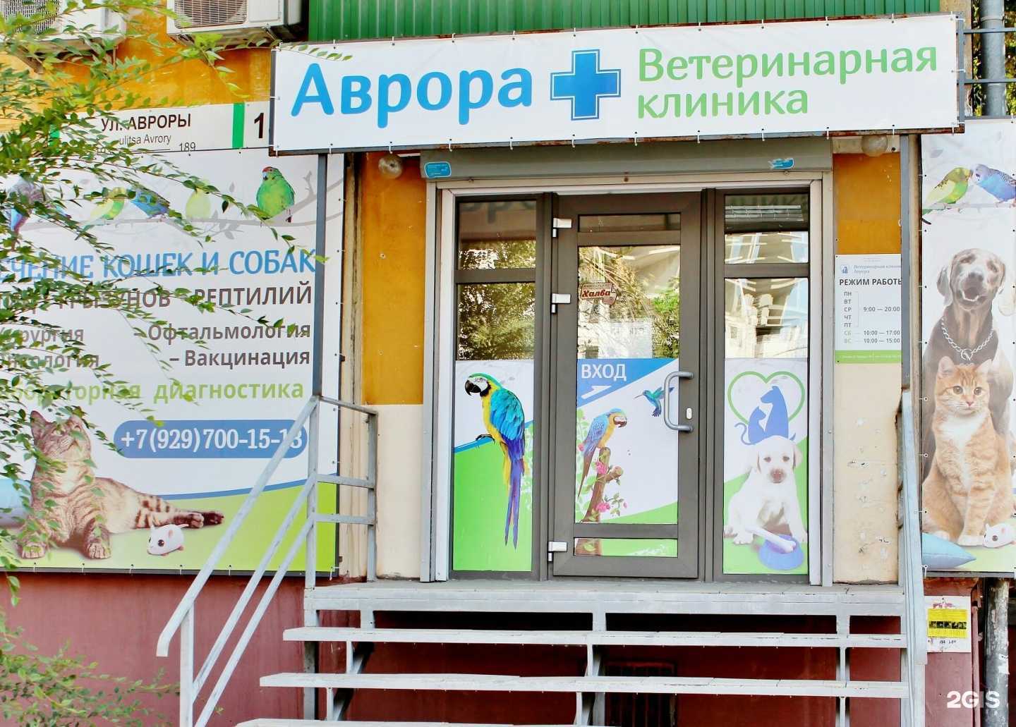 Отзывы на компанию Аврора в г. Самара c фото