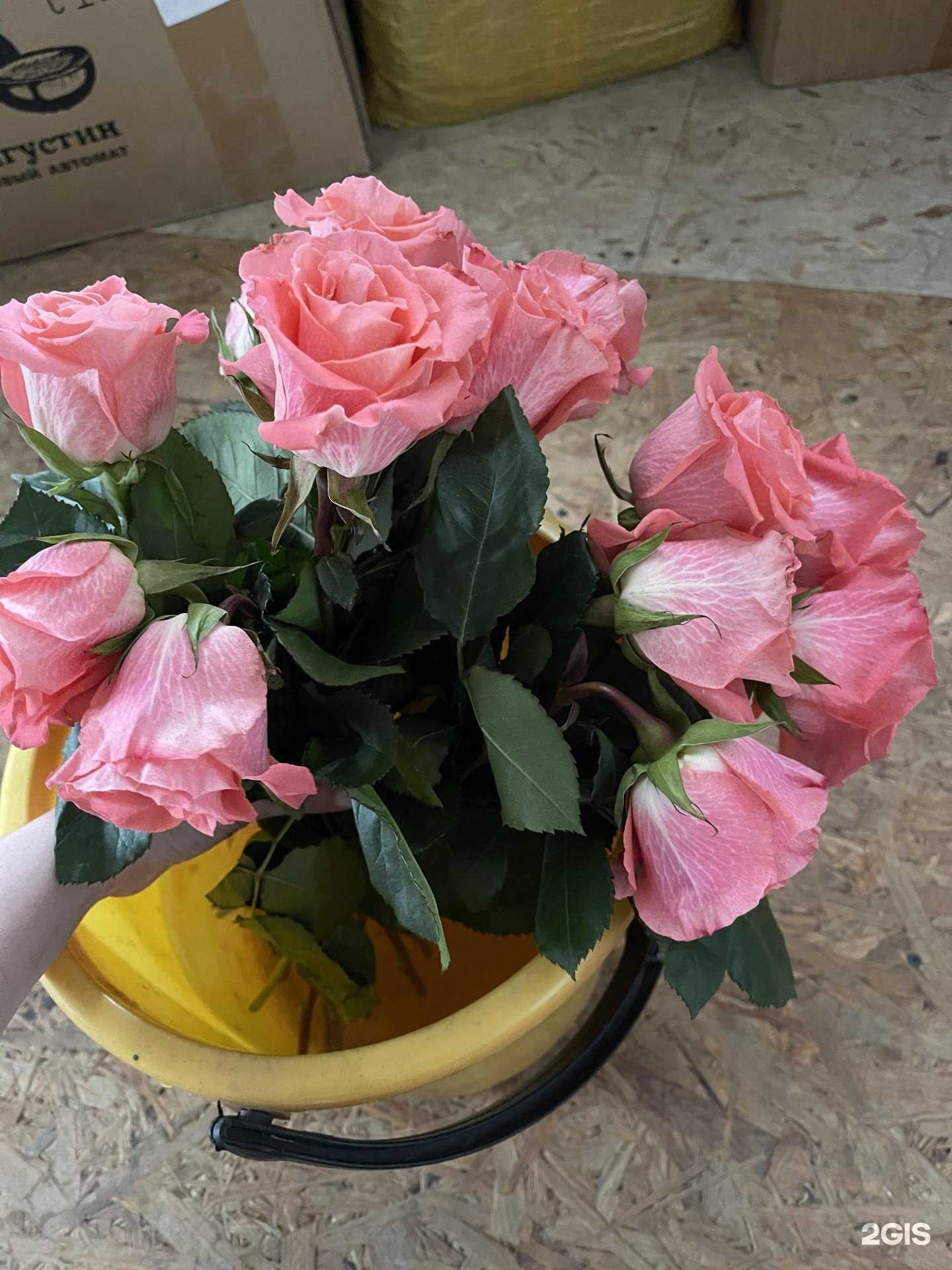 Отзывы на компанию Фантазия в г. Миасс c фото