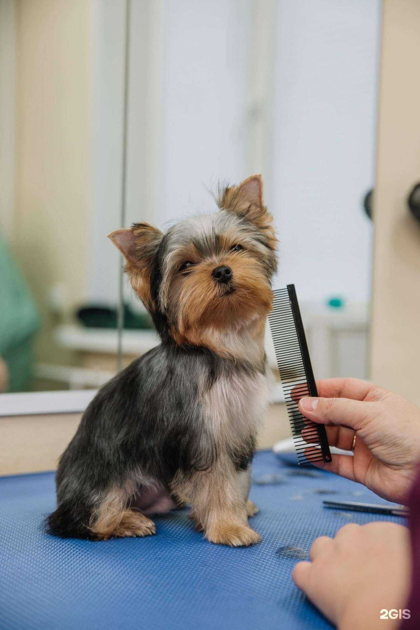 Отзывы на компанию Бравые ребята в Красноярске c фото