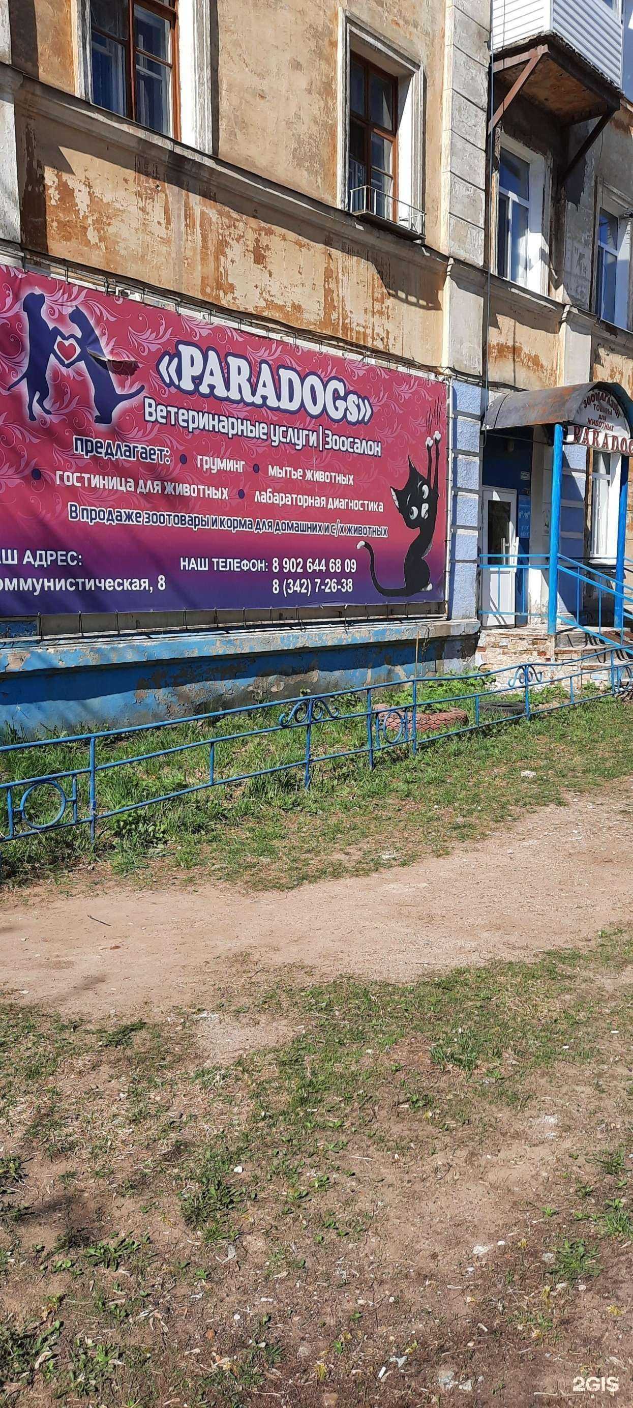 Отзывы на компанию Парадогс в Краснокамске c фото