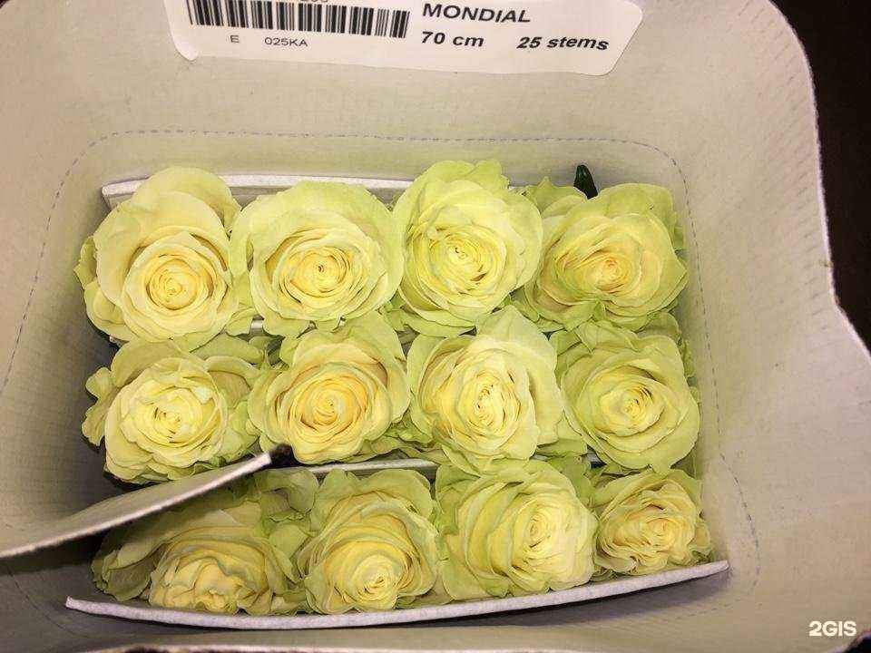 Отзывы на компанию Аркус в Одинцове c фото