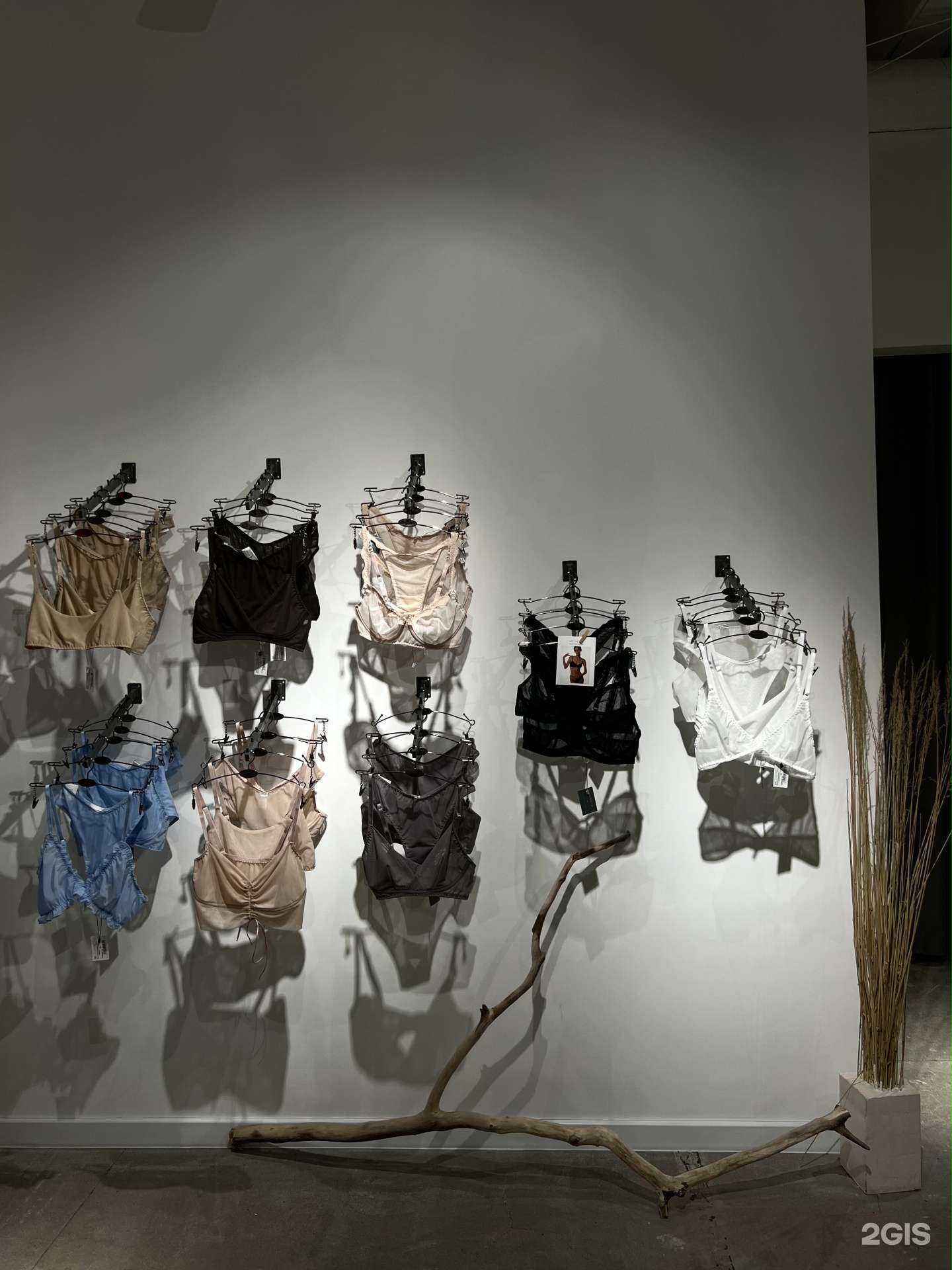 Отзывы на компанию Morely в Калининграде c фото