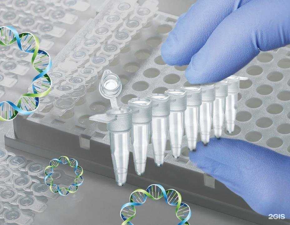 Отзывы на компанию Белгородская районная ветеринарная лаборатория в Белгороде c фото