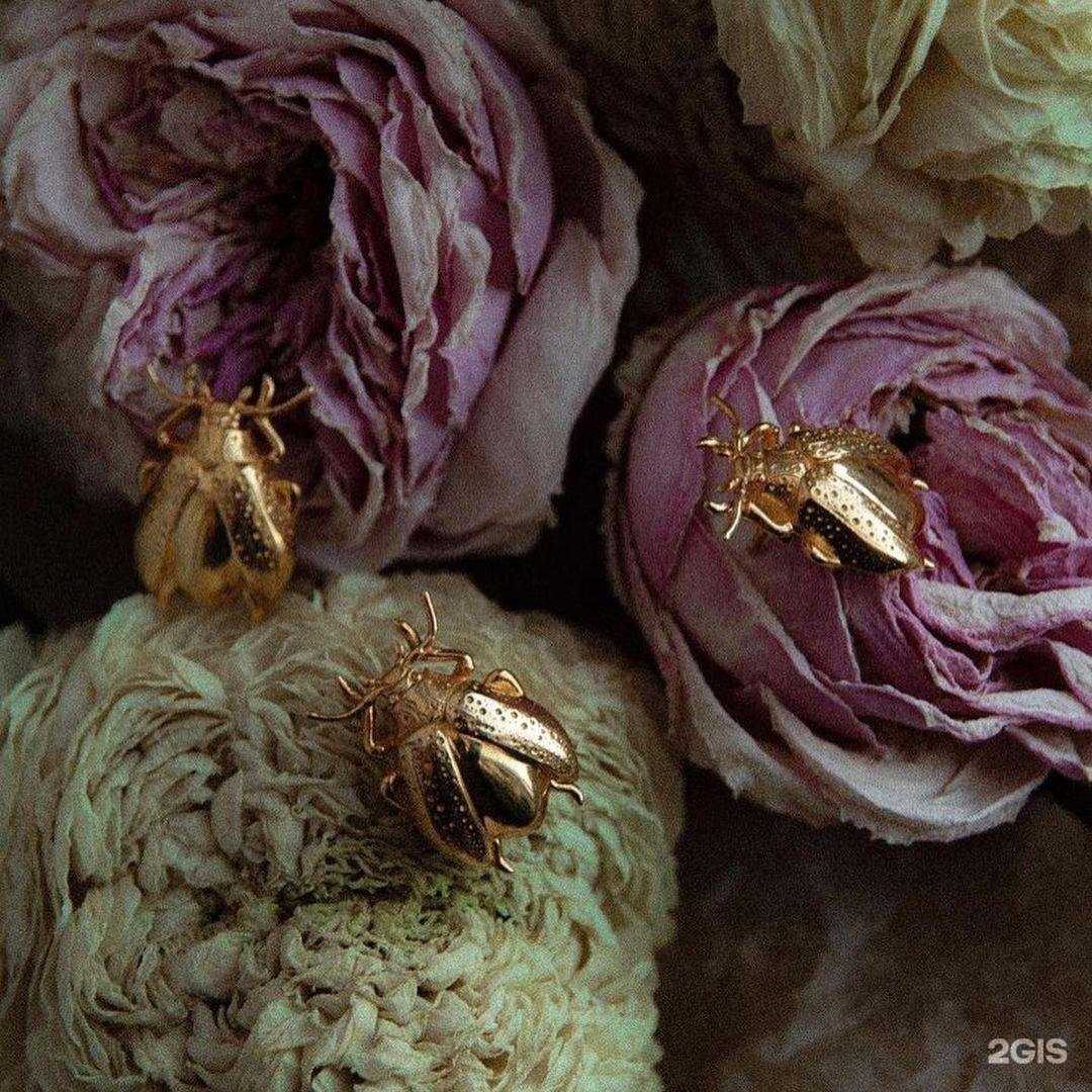 Отзывы на компанию Lastochka в г. Сургут c фото