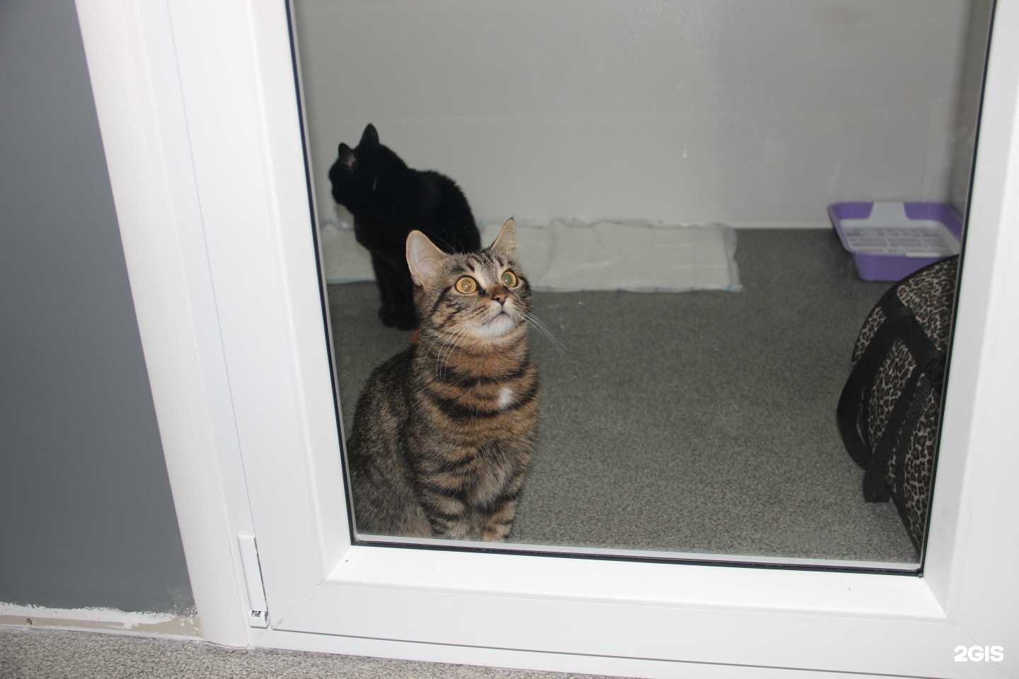 Отзывы на компанию Zoki Hotel в Кирове c фото