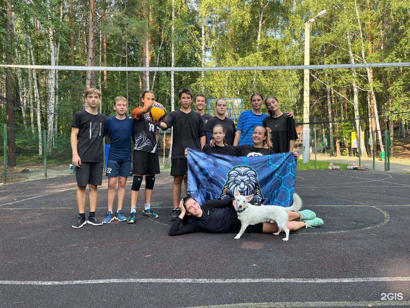 Отзывы на компанию Стальные львы в Челябинске c фото