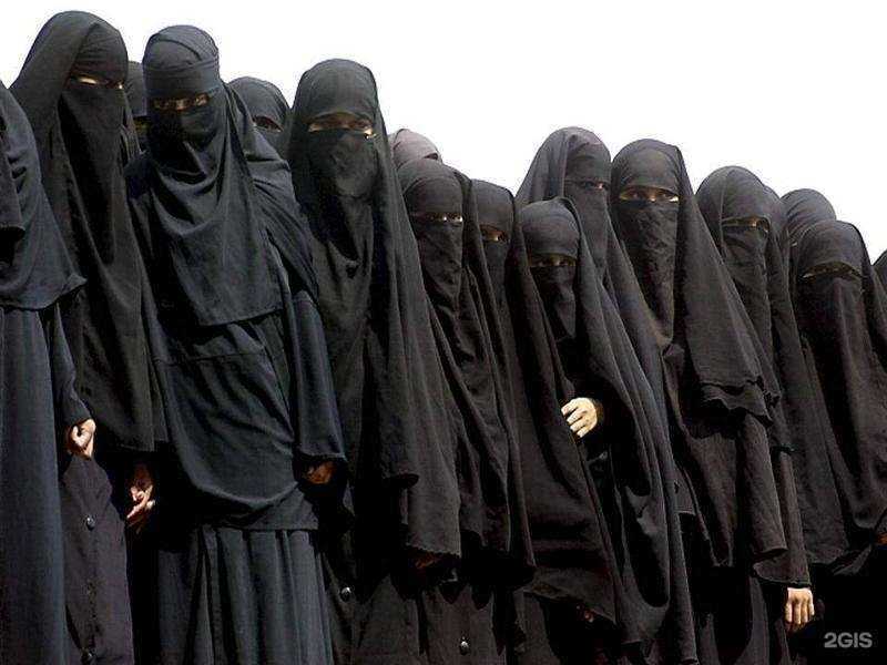 Отзывы на компанию Salomat в Новосибирске c фото