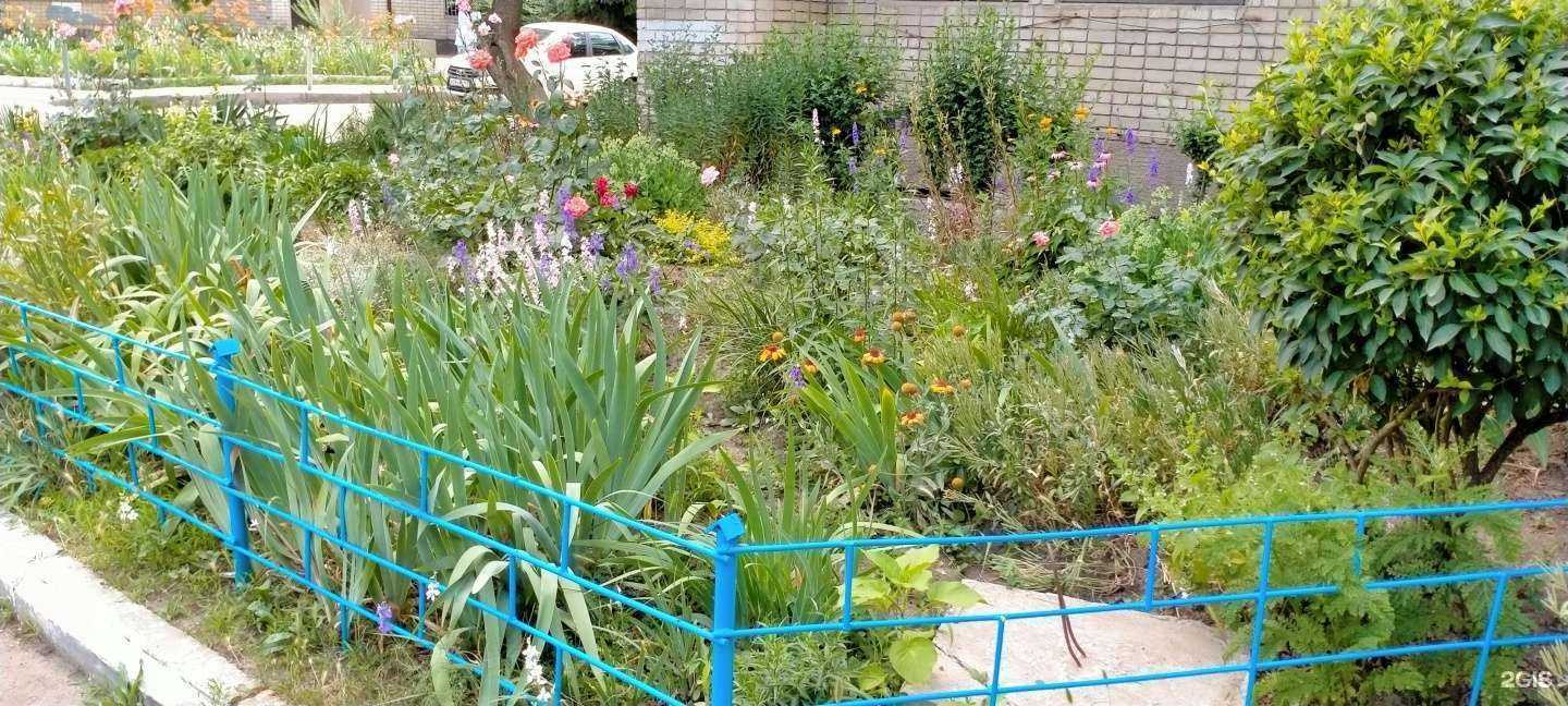 Отзывы на компанию Городская поликлиника №17 в Краснодаре c фото