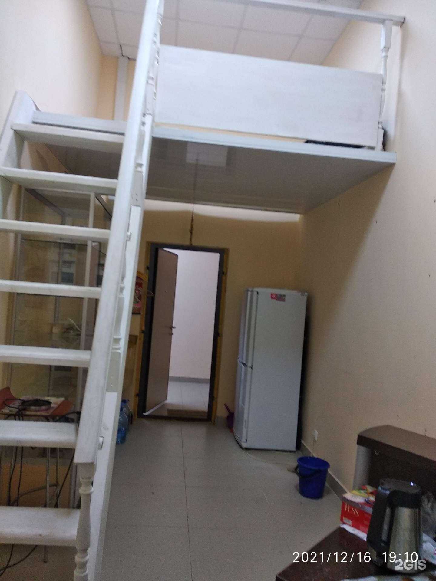 Отзывы на компанию Ёлки-Палки в г. Череповец c фото