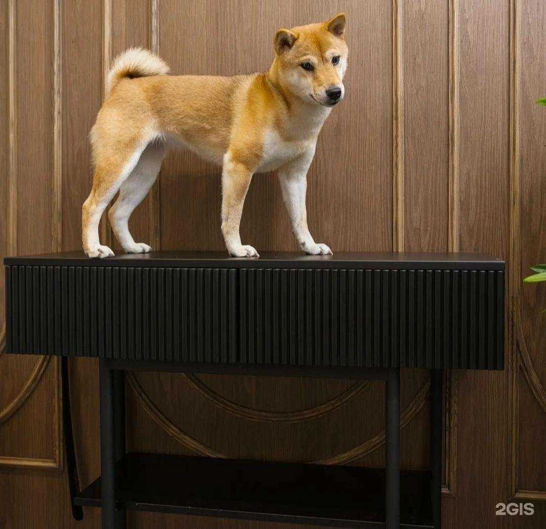 Отзывы на компанию Виксон в Новосибирске c фото