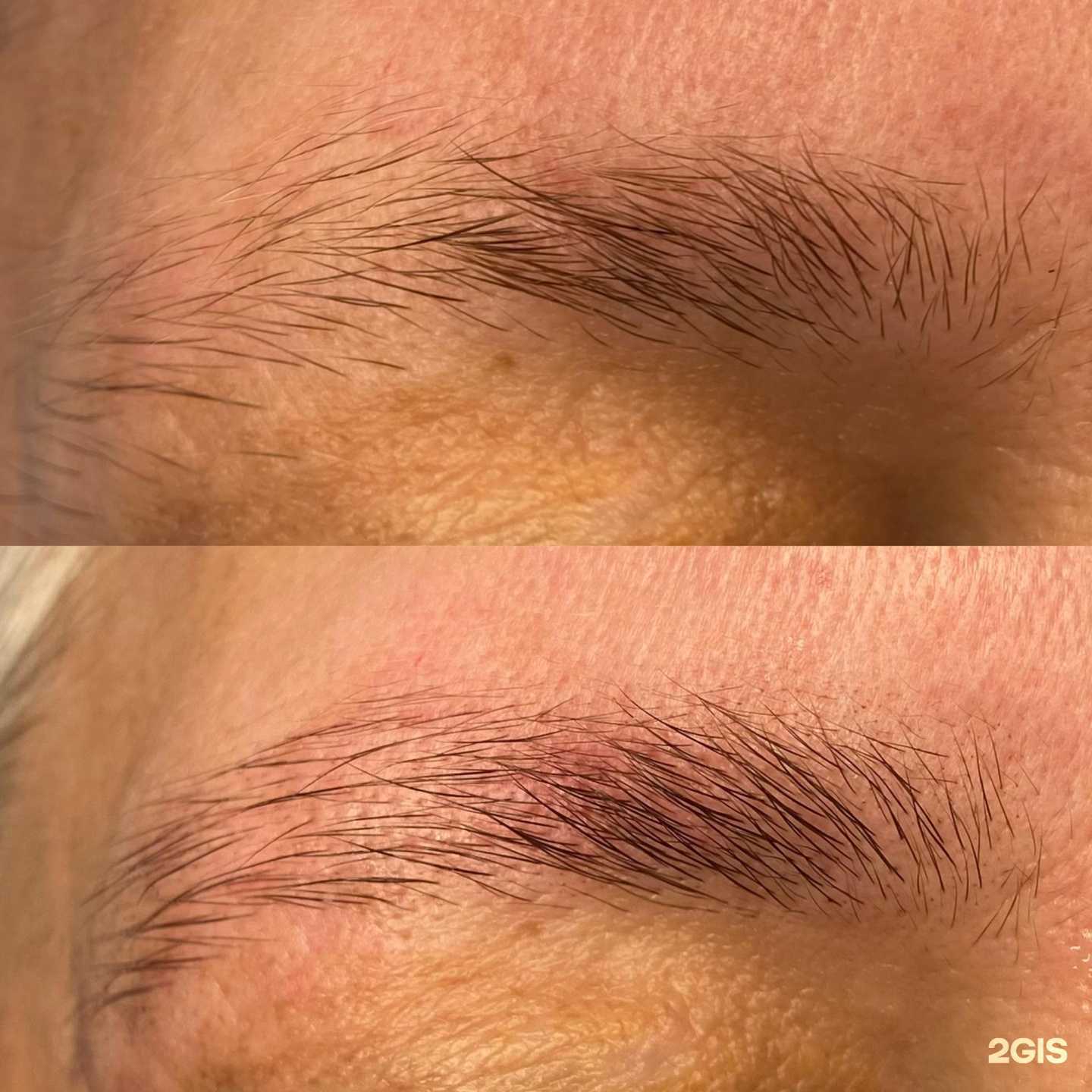 Отзывы на компанию Brovolog в Сургуте c фото