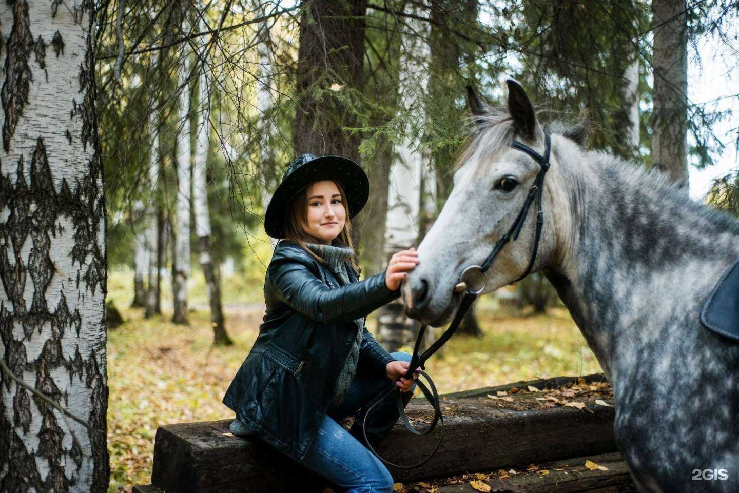 Отзывы на компанию Sirius в Нижнем Тагиле c фото