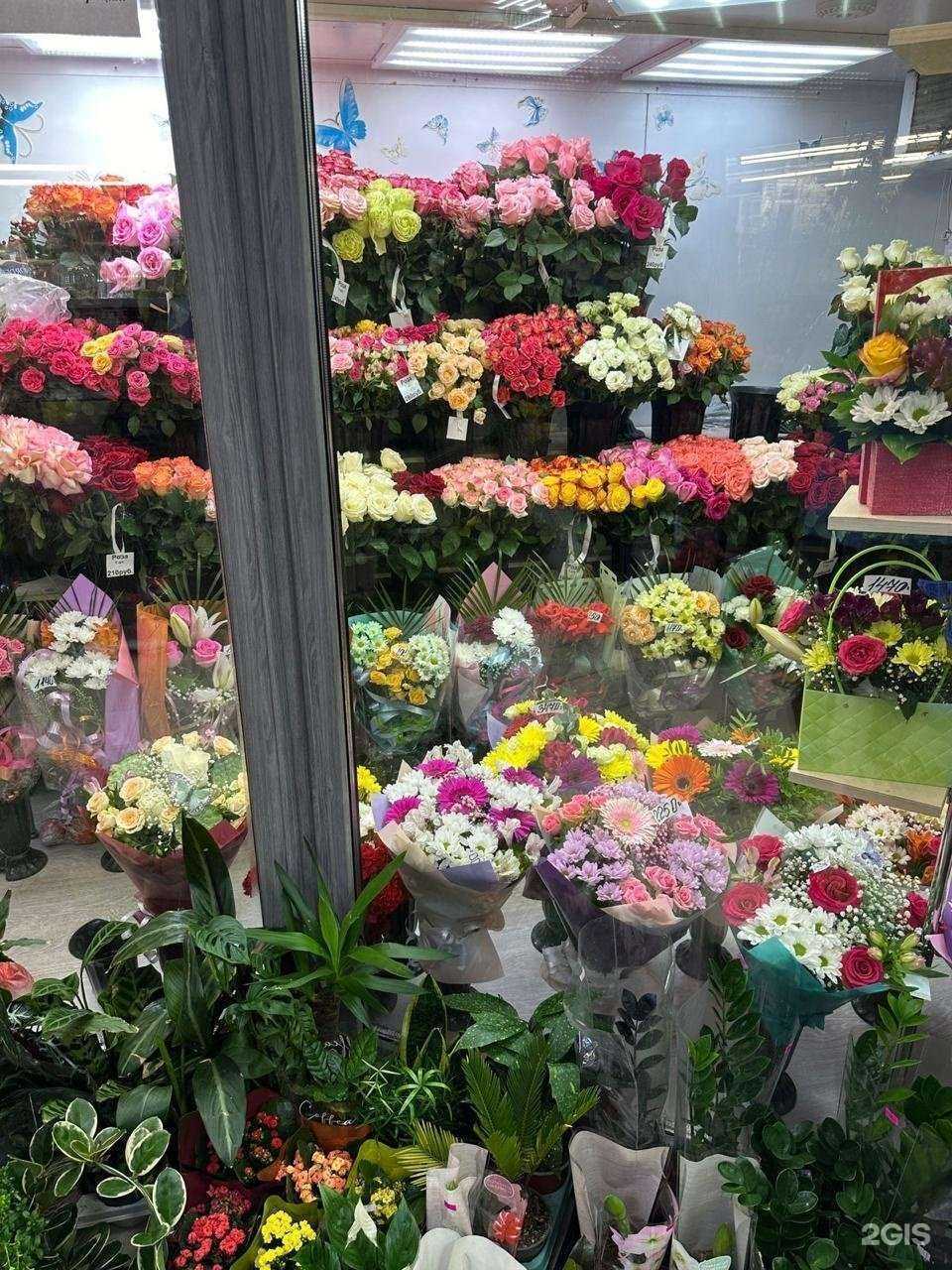 Отзывы на компанию Камелия в Наро-Фоминске c фото