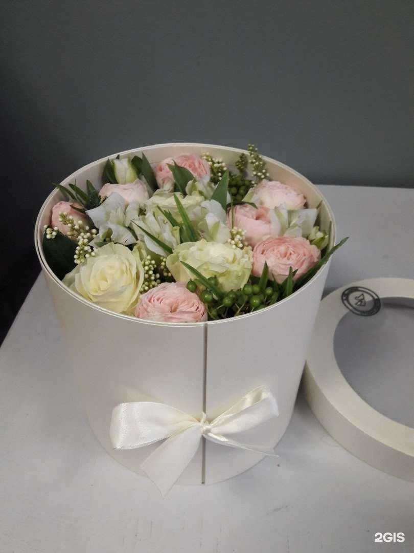 Отзывы на компанию Il pellicano в г. Псков c фото