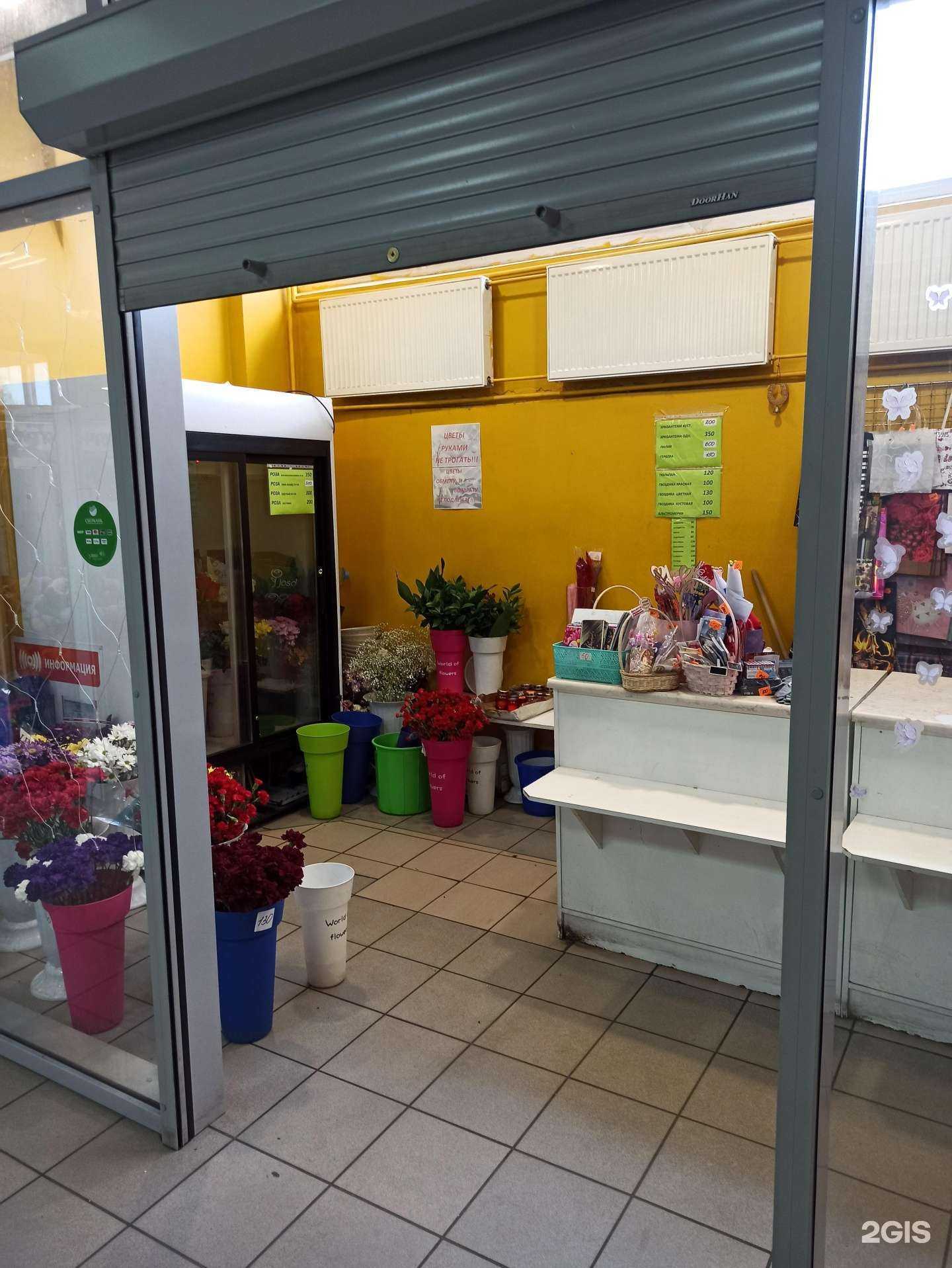 Отзывы на компанию Цветлана в Кандалакше c фото