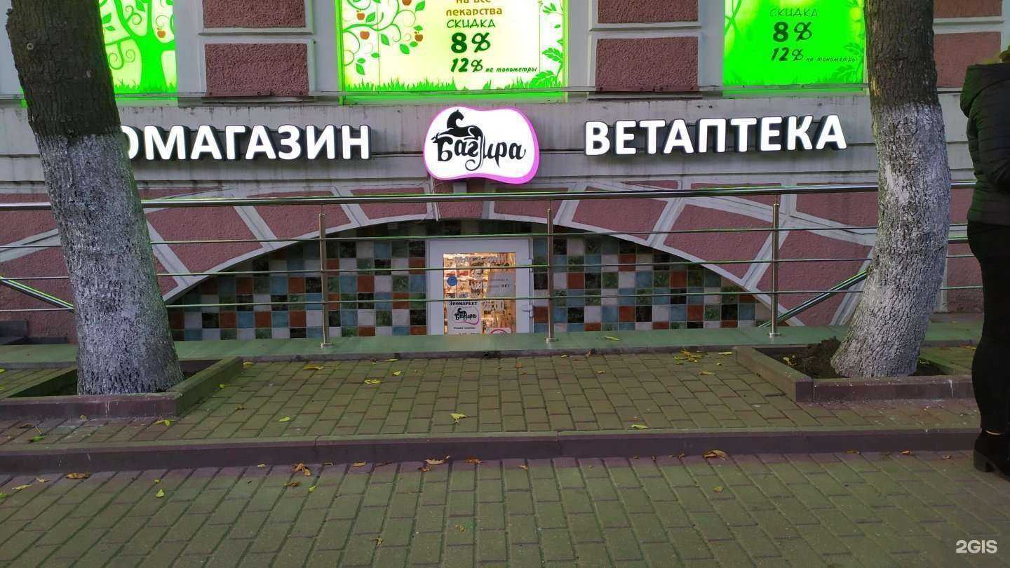 Отзывы на компанию Динозаврик в Твери c фото