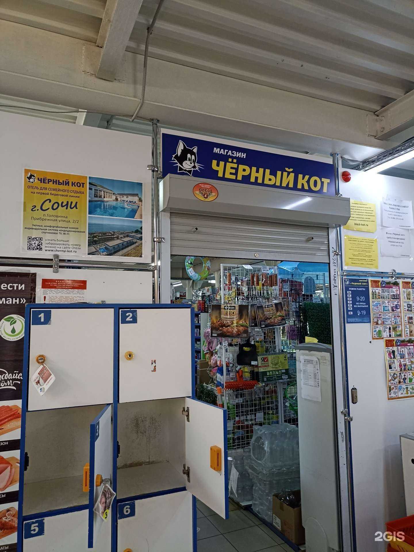 Отзывы на компанию Черный кот в г. Рыбинск c фото