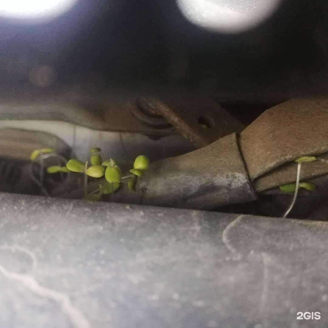 Отзывы на компанию Автоимпорт в Волгограде c фото