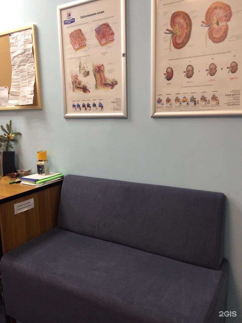 Отзывы на компанию Ветэксперт в г. Ижевск c фото