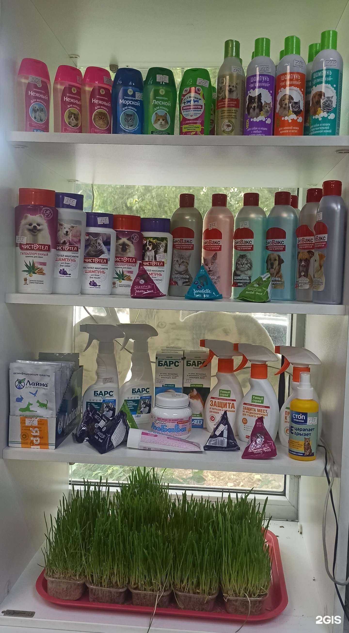 Отзывы на компанию Zooсити в Уфе c фото