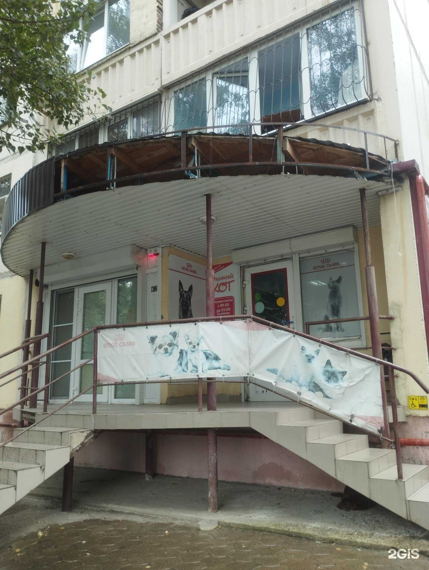 Отзывы на компанию Рыжий кот в г. Ростов-на-Дону c фото