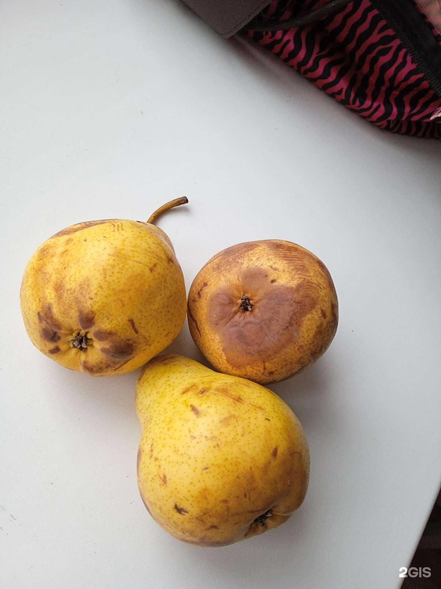 Отзывы на компанию Перчик в Омске c фото