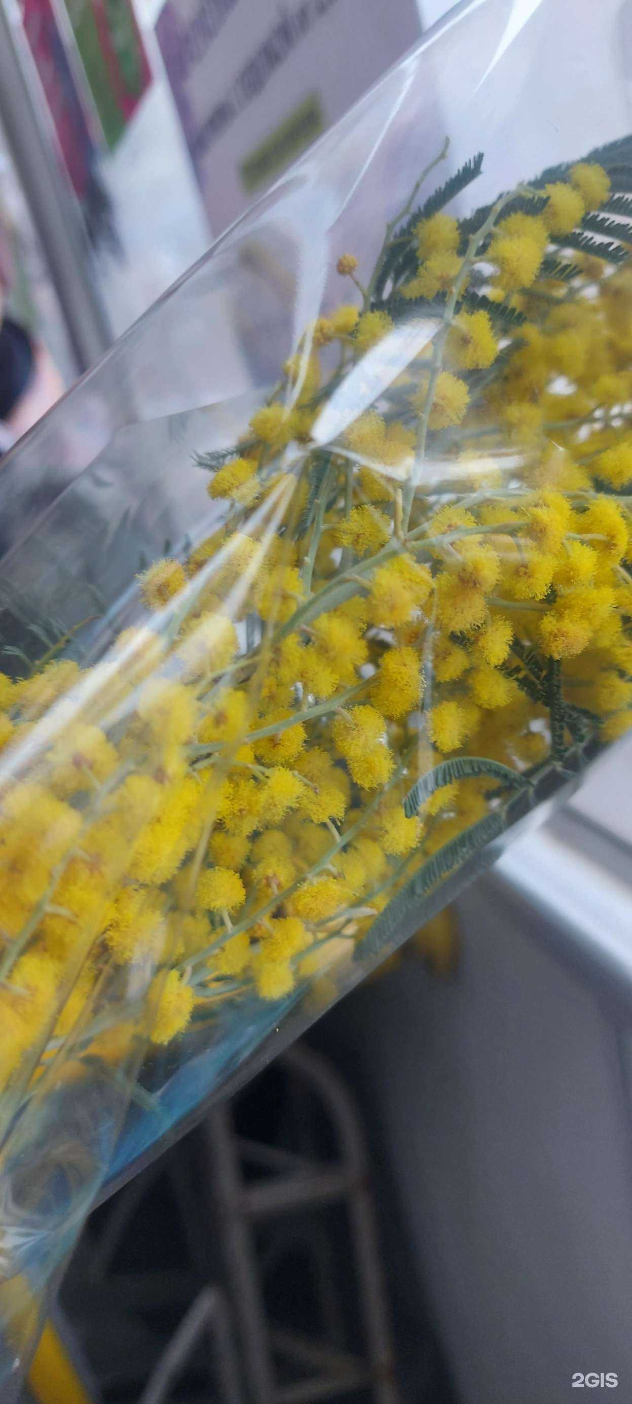 Отзывы на компанию Магазин цветов в Ростове-на-Дону c фото