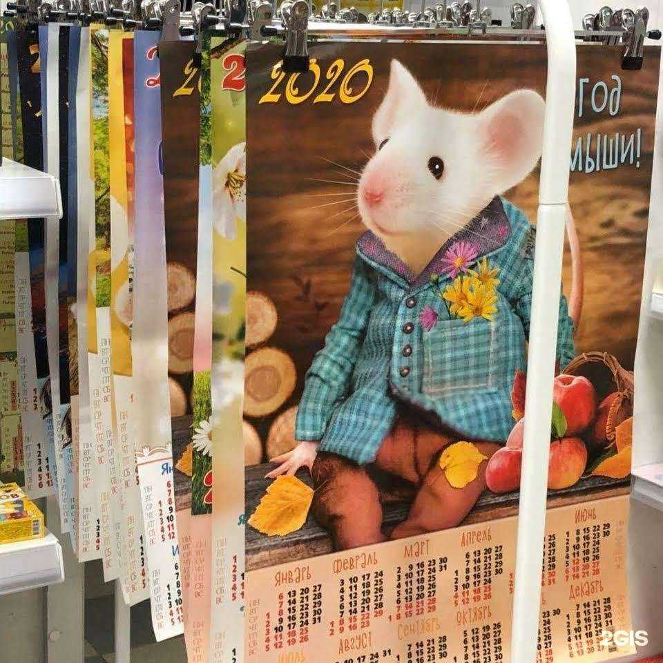 Отзывы на компанию Книжный магазин в г. Алексеевка c фото