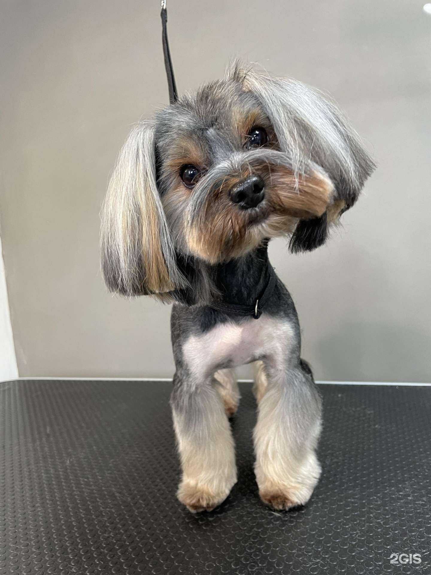 Отзывы на компанию M. Groom в г. Уссурийск c фото