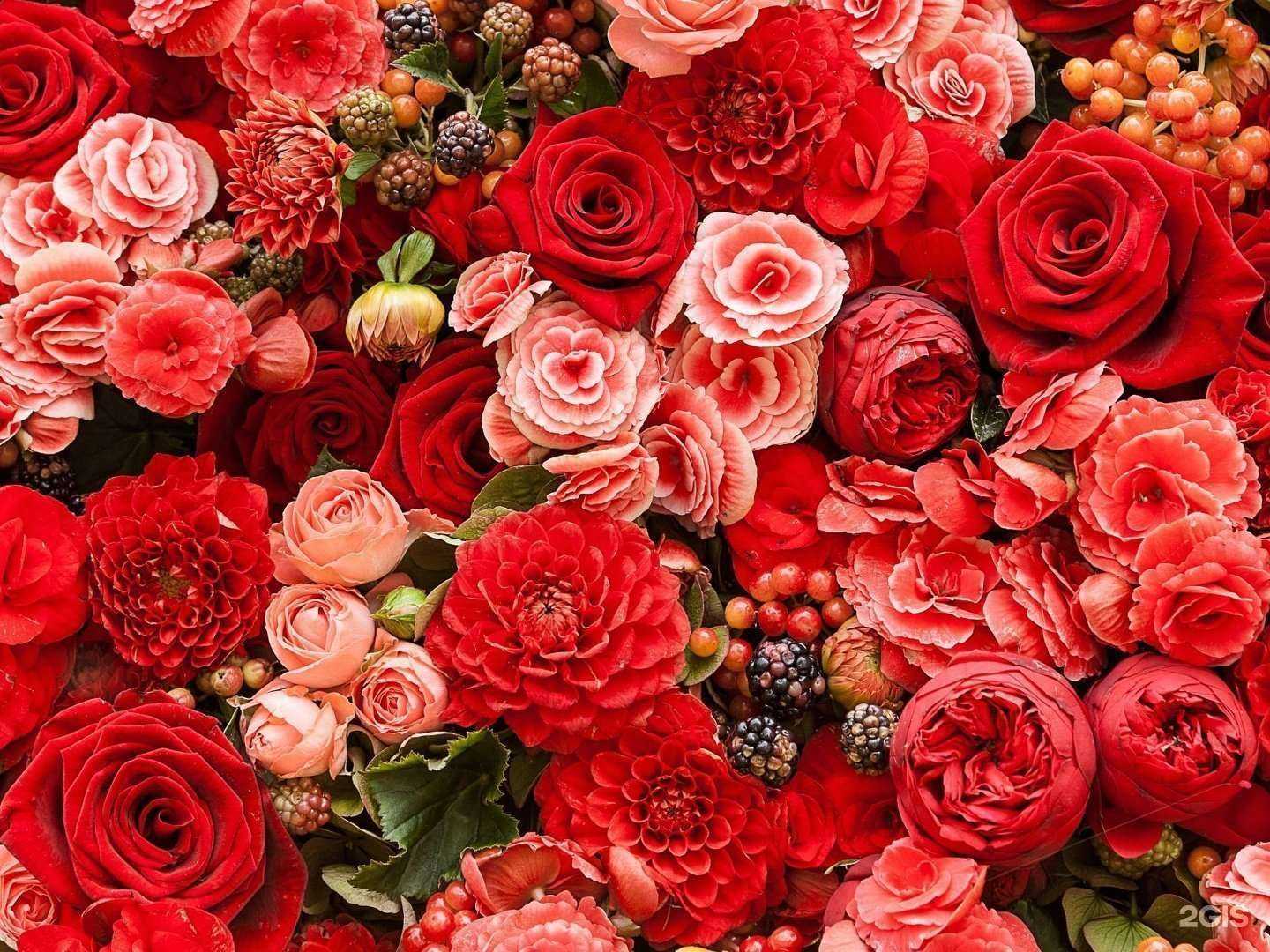 Отзывы на компанию Маки в Кирове c фото