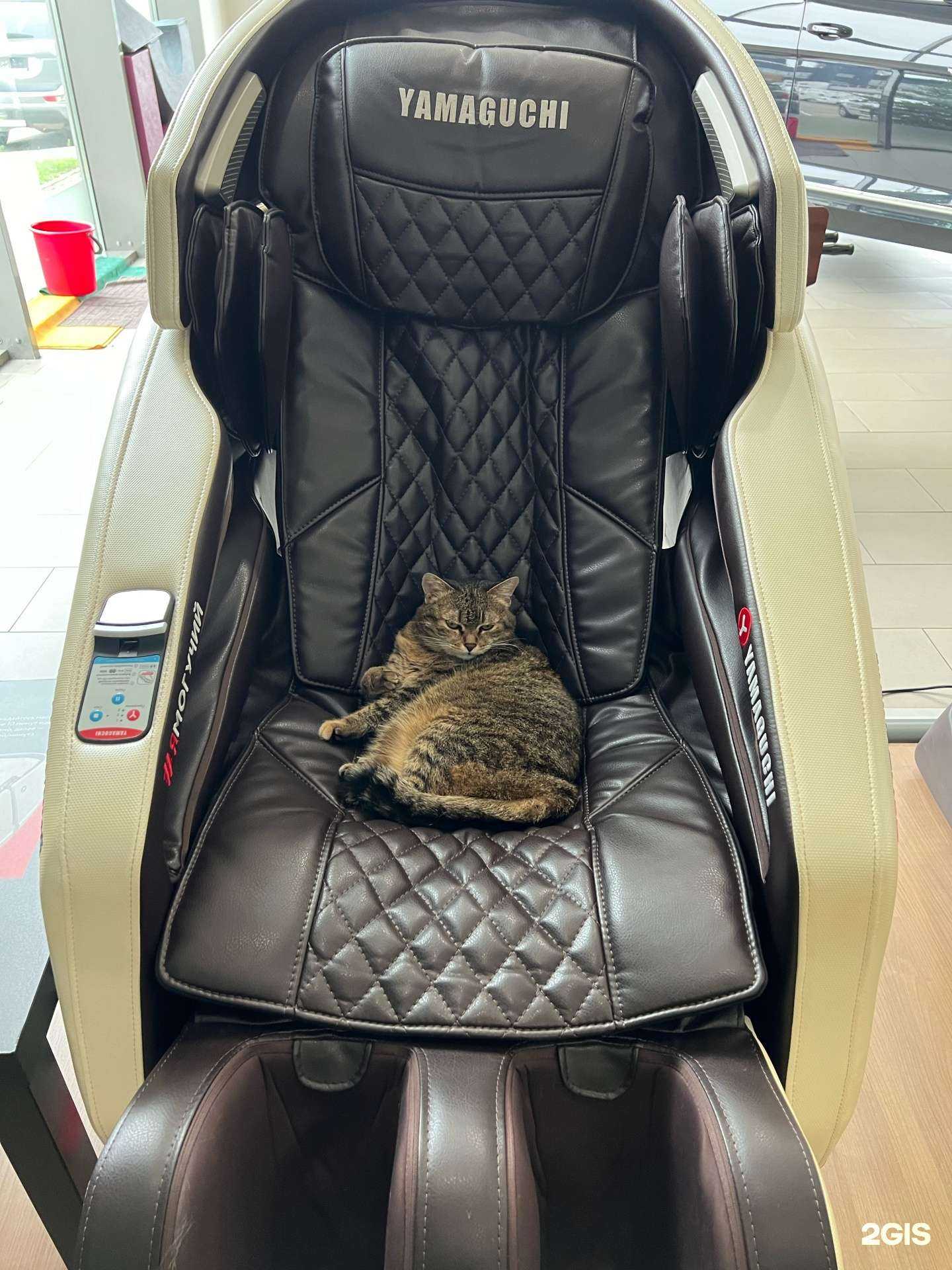 Отзывы на компанию Сумотори-Авто в Артёме c фото