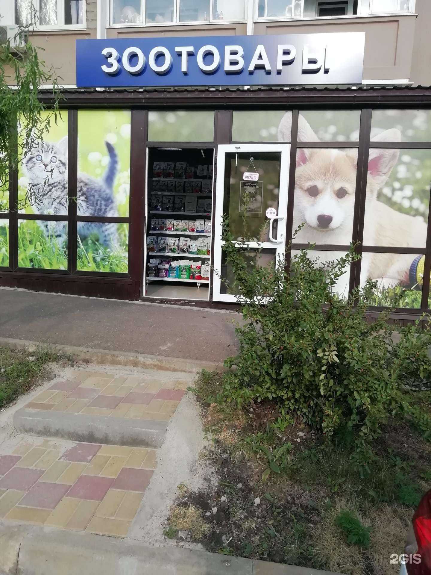 Отзывы на компанию Пёс-Босс в г. Краснодар c фото